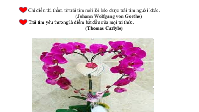 Bài giảng điện tử môn Ngữ văn 7 Bài 10 VB: Lời trái tim | Chân trời sáng tạo