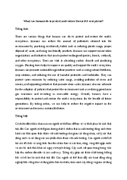 What can humans do to protect and restore the earth’s ecosystems?