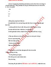 Đề cuối kì Trắc nghiệm  môn Kinh tế vi mô | Trường Đại học Kinh Tế Quốc Dân