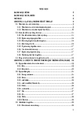 Đồ án dưa chuột dầm dấm| Môn Đồ án tốt nghiệp| Trường Đại học Bách Khoa Hà Nội
