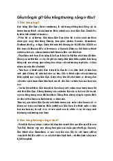 Gấu trắng là gì? Gấu trắng thường sống ở đâu?