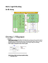 Tổng quan và các yếu tố ảnh hưởng – Lý thuyết môn Hành vi người tiêu dùng | Đại học kinh tế Quốc dân