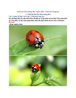 Soạn Văn 6 siêu ngắn - Chân trời sáng tạo bài Giọt sương đêm