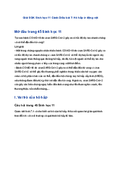 Giải SGK Sinh học 11 Cánh Diều bài 7: Hô hấp ở động vật