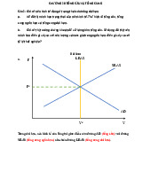 Bài tập tự luận chương 20 : tổng cầu và tổng cung | Môn kinh tế tài chính