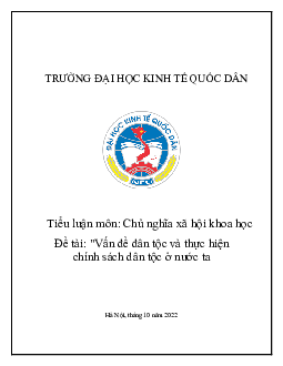 Tiểu luận "Vấn đề dân tộc và thực hiện chính sách dân tộc ở nước ta"