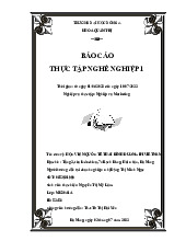 Báo cáo thực tập nghề nghiệp | Đại Học Nội Vụ Hà Nội