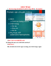 SINH LÝ TẾ BÀO: Cấu trúc màng và các loại kênh tế bào môn Sinh lý | Trường Đại Học Y Dược Thái Bình