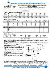 Đáp án đề giao lưu HSG lớp 12 năm học 2025-2026 môn Sinh học