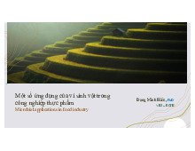 Bài giảng Vi khuẩn lactic và các sản phẩm lên men từ chúng môn Vi sinh vật thực phẩm | Đại học Bách Khoa Hà Nội