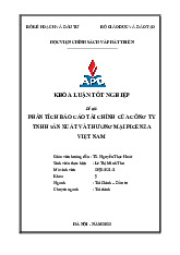 Phân Tích Báo Cáo Tài Chính Công Ty TNHH Picenza Việt Nam | Môn Báo cáo tài chính - Học viện Chính sách và Phát triển