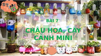 Giáo án điện tử Công Nghệ  4 KNTT - Bài học STEM Bài 7:  Kết Nối Tri Thức:  Chậu hoa cây cảnh mi ni.