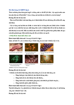 Giải sách giáo khoa môn Khoa học tự nhiên 6 Bài 25: Vi khuẩn | Chân trời sáng tạo