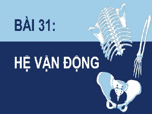 Giáo án điện tử Khoa học tự nhiên 8 Bài 28 Cánh diều: Hệ vận động ở người