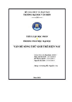 Tiểu luận "Vấn đề sống thử giới trẻ hiện nay"