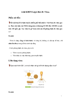 Giải KHTN Lớp 6 Bài 29: Virus | Kết nối tri thức