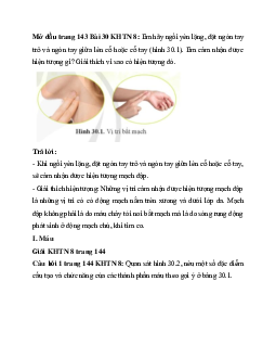 Giải Khoa học tự nhiên 8 bài 30: Máu và hệ tuần hoàn ở người | Cánh diều