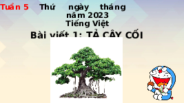 Giáo án điện tử Tiếng Việt 4 Tuần 5 Bài viết 1 Cánh diều: Tả cây cối