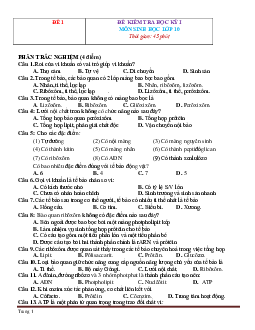 10 đề thi HK1 Sinh học 10 (có đáp án)