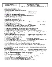 Đề thi giữa học kỳ 1 môn Tin học lớp 7 năm học 2024 - 2025 - Đề số 4 | Bộ sách Kết nối tri thức