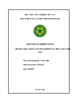 Tiểu luận: Thực trạng mô hình kiểm toán độc lập ở Việt Nam