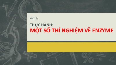 bài 14 | Bài giảng PowerPoint ử môn Sinh học 10 | Chân trời sáng tạo