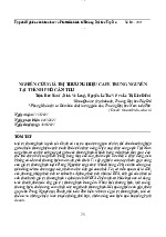 Nghiên cứu giá trị thương hiệu cafe trung nguyên tại TP Cần thơ | môn marketing căn bản | trường Đại học Huế