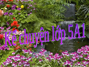 Giáo án điện tử Tiếng Việt 5 Bài 13B Cánh diều: Cho rừng luôn xanh (Tiết 3)