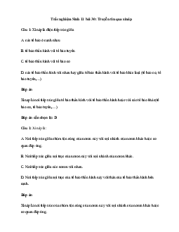 Trắc nghiệm Sinh học 11 bài 30: Truyền tin qua xináp  | Kết nối tri thức