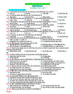 Bộ câu hỏi ôn tập Địa lý 11 Học kỳ 2 năm học 2022-2023