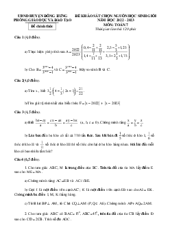 TOP 20 đề toán ôn thi hsg toán lớp 7 cấp 7 siêu hot tự luận (có lời giải chi tiết)
