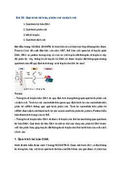 Giải Khoa học tự nhiên 9 Chân trời sáng tạo Bài 39: Quá trình tái bản, phiên mã và dịch mã