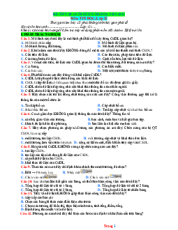 Đề ôn cuối học kỳ 2 Tin 12 năm học 2022-2023 (có đáp án)