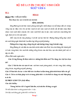 Bộ đề ôn thi học sinh giỏi Ngữ Văn 6 (có đáp án)