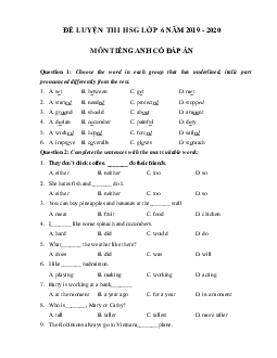 Đề thi học sinh giỏi tiếng Anh lớp 6 năm 2019 - 2020 số 5