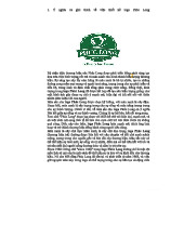 Phúc Long - Phân Tích Logo và Chiến Lược Thương Hiệu 2023