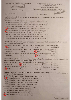 Đề thi tuyển sinh vào 10 môn Tiếng Anh của Sở GD&ĐT Vĩnh Phúc năm học 2024 - 2025