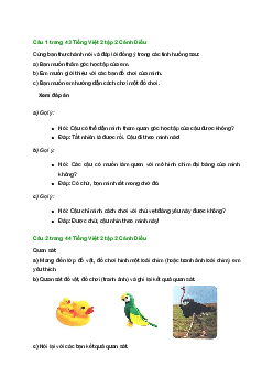 Giải SGK môn Tiếng việt 2 - Bài 23: Quan sát đồ chơi hình một loài chim (1) | Cánh Diều