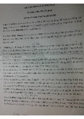 Đề thi cuối kỳ học phần Luật đất đai năm 2024 - 2025 | Đại học Luật Thành phố Hồ Chí Minh