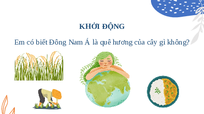Giáo án điện tử Lịch Sử 6 KNTT - Bài 12 Kết Nối Tri Thức: Sự hình thành và bước đầu phát triển của các vương quốc phong kiến ở Đông Nam Á từ thế kỉ VII đến thế kỉ X.