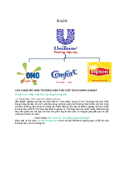 Bài giảng : Lựa chọn mô hình thương hiệu