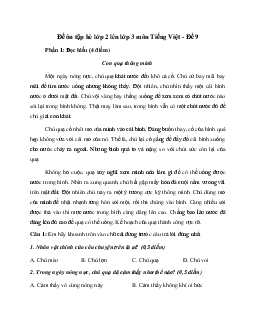 Bài tập ôn hè lớp 2 lên lớp 3 năm 2024 môn Tiếng Việt - Đề 9