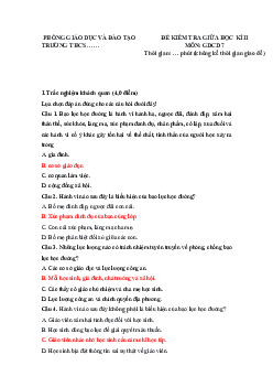 Đề thi giữa kì 2 Giáo dục công dân 7 - Đề 3 | Chân trời sáng tạo năm 2024