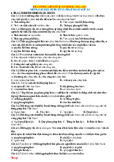 Đề Cương Ôn Giữa Kỳ 2 Kinh Tế Pháp Luật 10 Kết Nối Tri Thức Cấu Trúc Mới