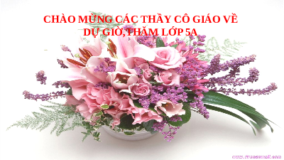 Giáo án điện tử Tiếng Việt 5 Cánh diều: Luyện phát âm và viết đúng phụ âm đầu L/N