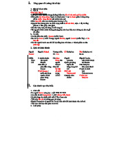 Văn minh Lưỡng Hà cổ đại: Kiến thức và Thành tựu Nổi bật