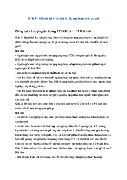 Sinh 11 Kết nối tri thức bài 4: Quang hợp ở thực vật