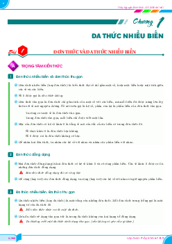 Phân dạng và bài tập biểu thức đại số Toán 8 Chân Trời Sáng Tạo