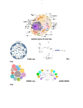 Ôn tập Tiếng Anh - Tiếng Anh | Trường Đại học Khoa học Tự nhiên, Đại học Quốc gia Thành phố Hồ Chí Minh