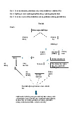 Bài tập triết học | Trường Đại học Khoa Học Xã Hội và Nhân Văn, Đại học Quốc gia Hà Nội